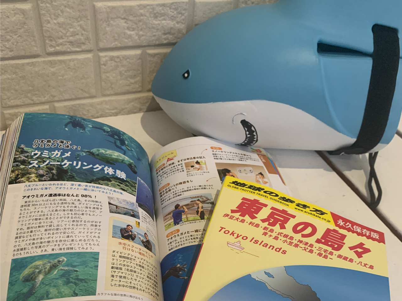 n̕i2024NtjɂfڂĂlC̃vłI