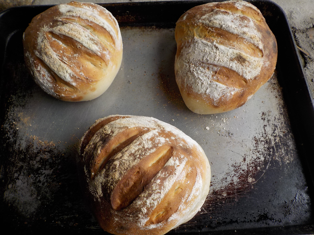 大き目のパンはさらに石窯で焼いた!!という感覚になります。もちろん最高に美味しいです。