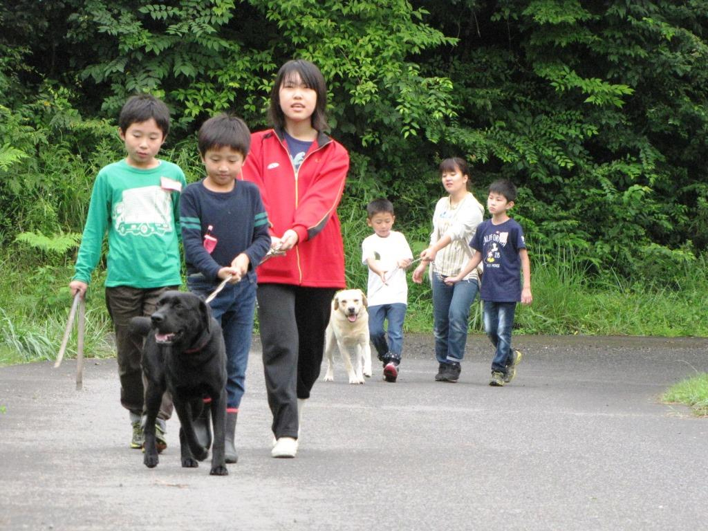 uh[iY2CjG񂽁EG}@Uł܂B