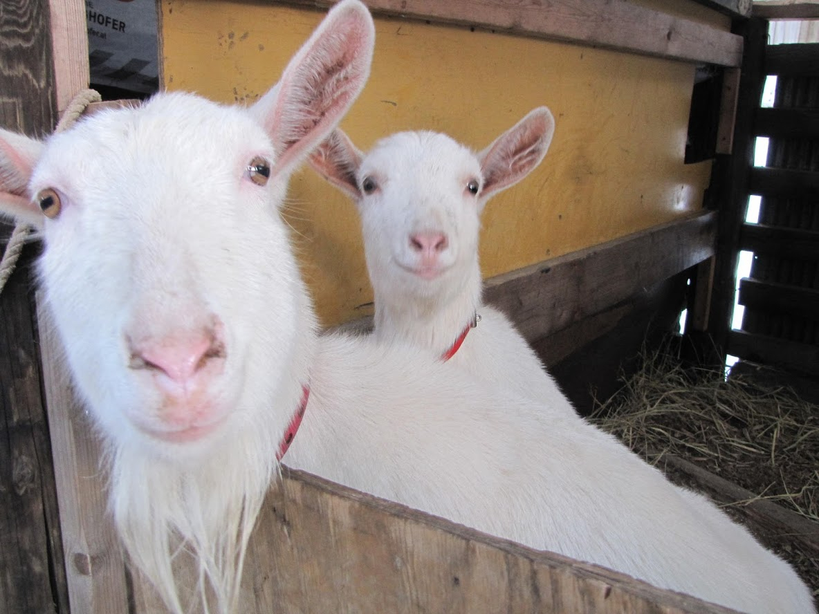 M̐b@蓮Ƃӂꂠ^C͂łc