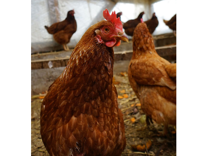 {̐bA݂Ă̗͂yYɂȂ܂BGT͌NlƐ̃IWiuL΁AĂʂAgERVAāA؂Ȃǁv