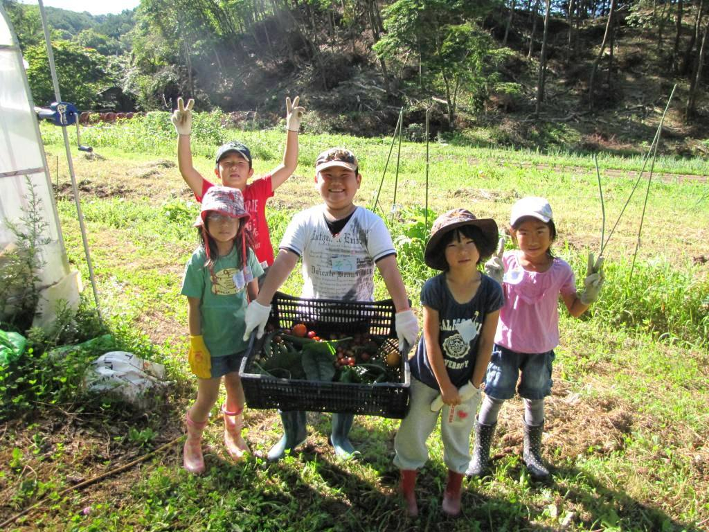 _ƁGŎňB^ǂ؂no΂yYɂǂII