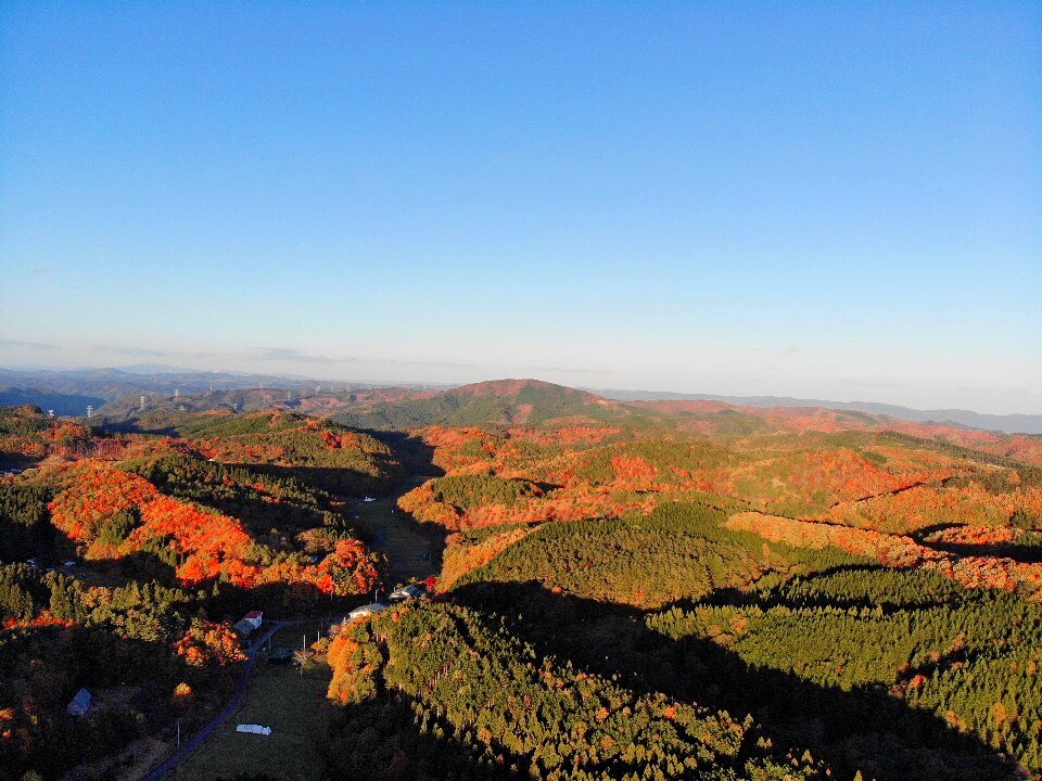 ܂ɈGRn̔_ɂ邱Ƃʐ^łBH̍gtYłB