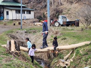 小川に丸太をかけました。パパとお子さんが楽しく渡っています。ワクワクドキドキ…