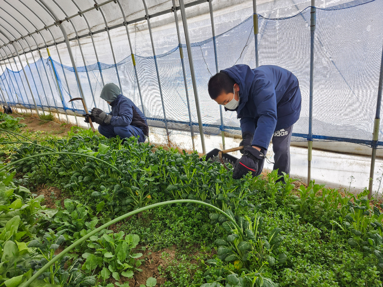 ؂̎nc_Aw엿L@͔|̈SSȖ؂΂c