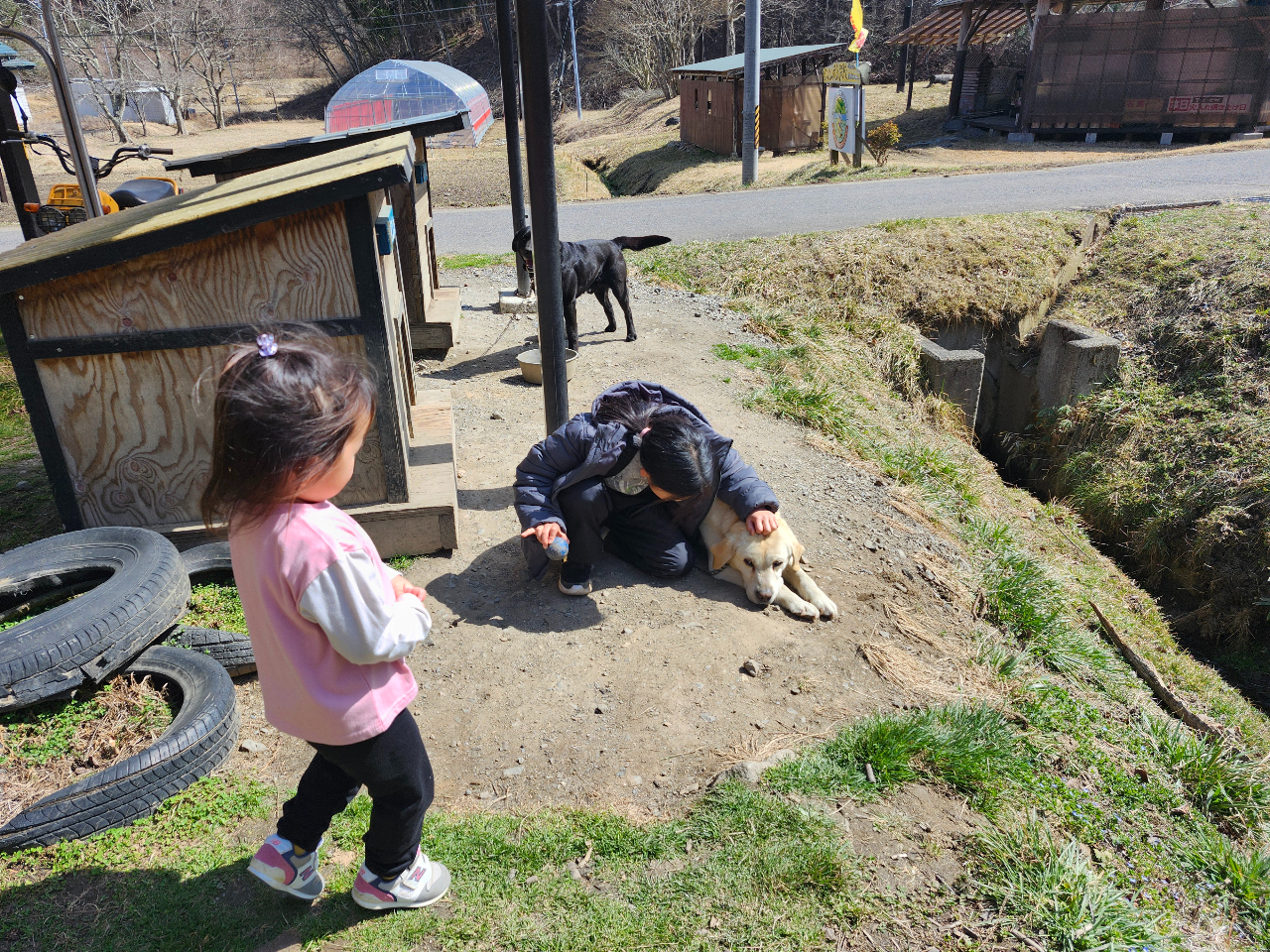 Auh[@S^@}@ƂȂqǂDȃS^ƃ}łB