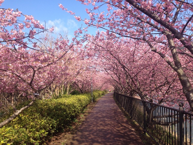 Q`R͉͒Í܂ƃZbgXXI