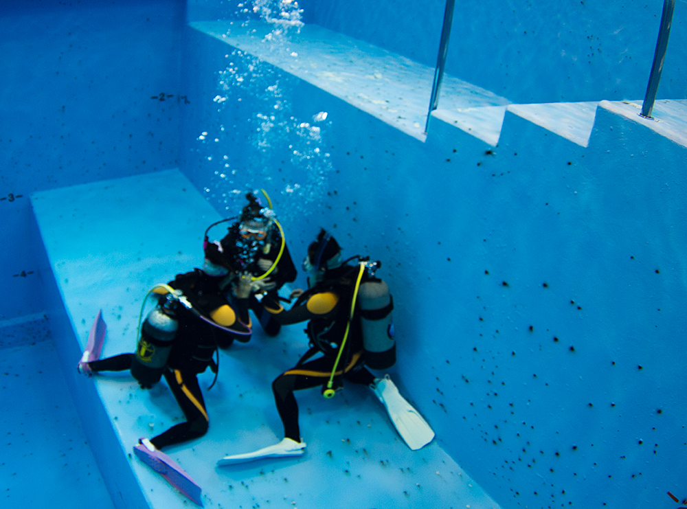 【千葉・プールで体験ダイビング!】泳げない方でも大丈夫!女性お一人でのご参加でも...