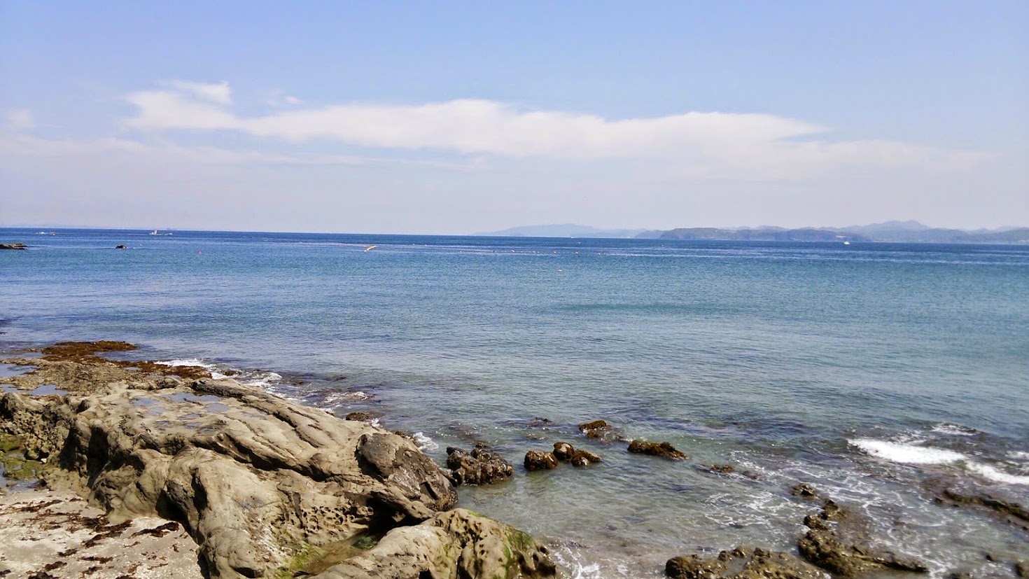 【2ボート・ファンダイビング】水中神社とコブダイの海!波左間海中公園で潜ろう~♪...