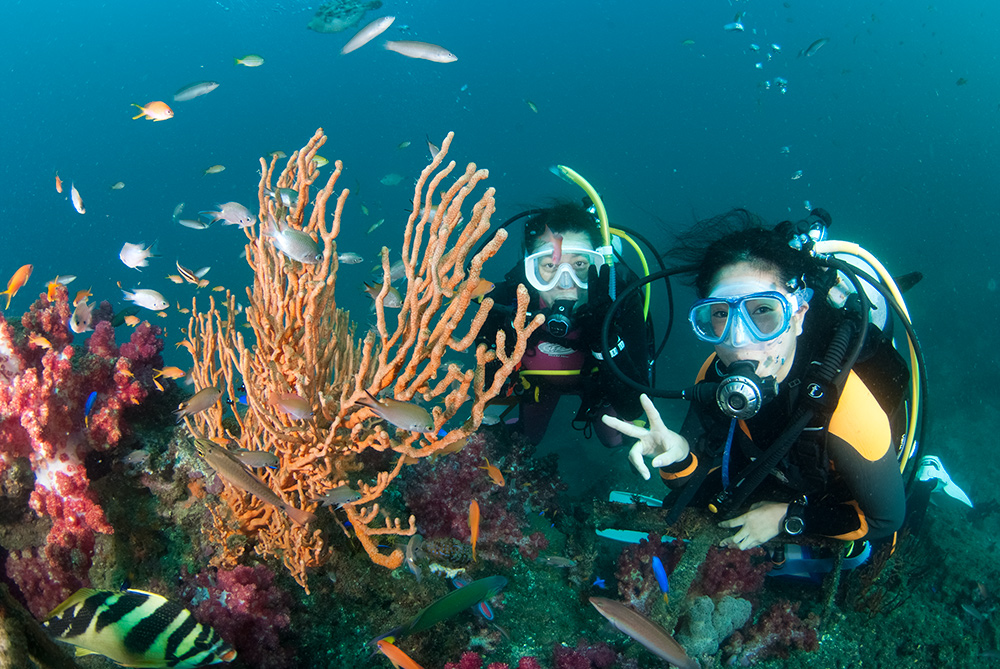 女性限定特典付☆】【2ボート・ファンダイビング】水中神社とコブダイ