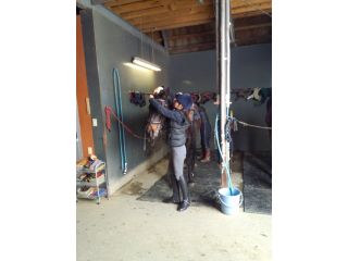 乗馬の準備中。