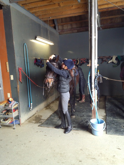 【北海道の自然満喫】体験乗馬♪雪でも雨でも開催!(新千歳空港から1時間以内◇アク...