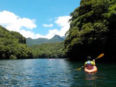 深い緑の森は別世界♪目の前に広がる屋久島の大自然の景色にうっとり♪