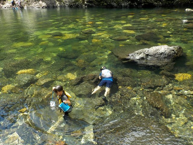 きれいな水に入って泳いで遊ぼう♪登山後は川で全身アイシング♪疲労回復にオススメ☆