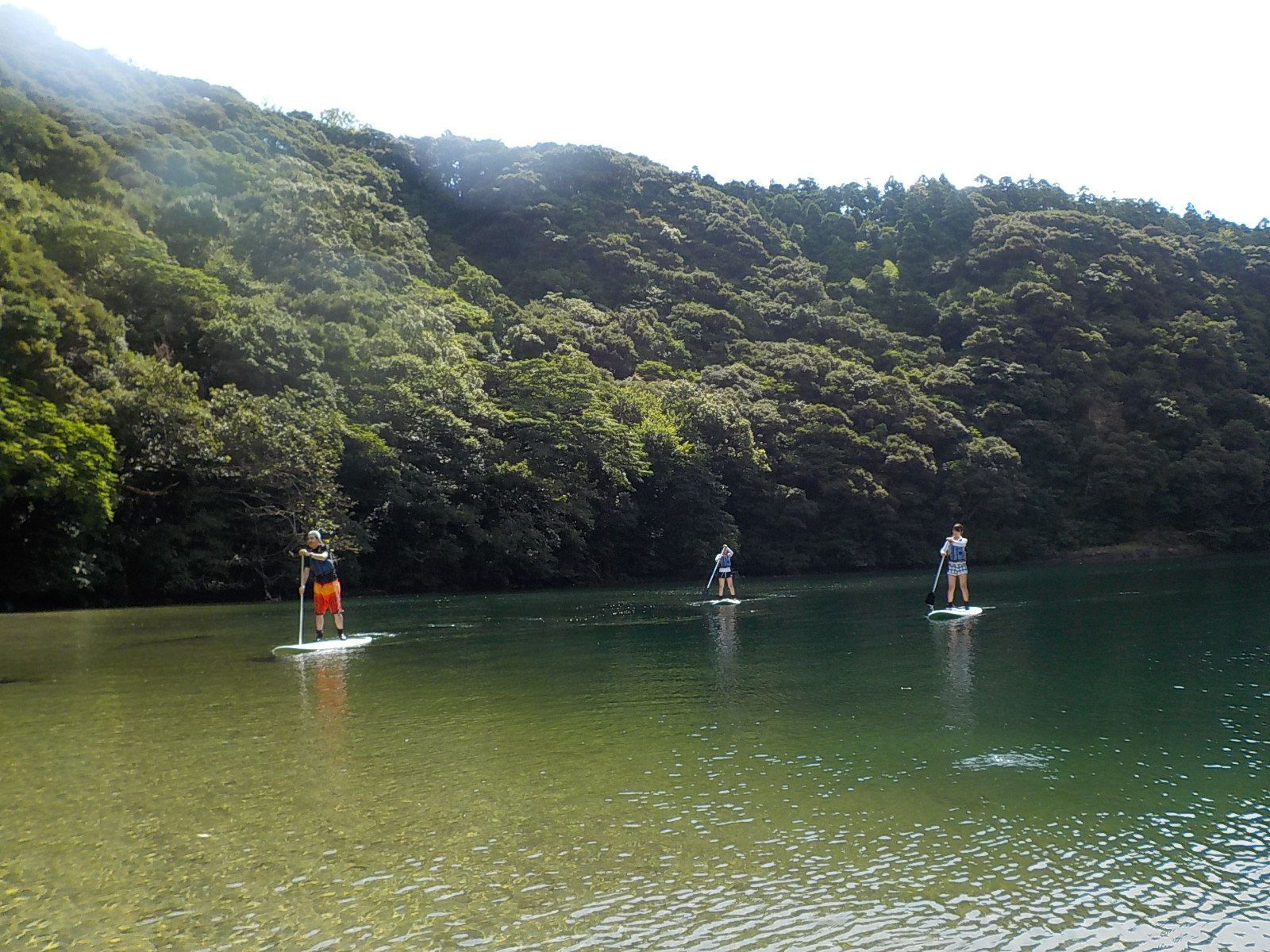 深い緑の森は別世界♪目の前に広がる屋久島の大自然の景色にうっとり♪