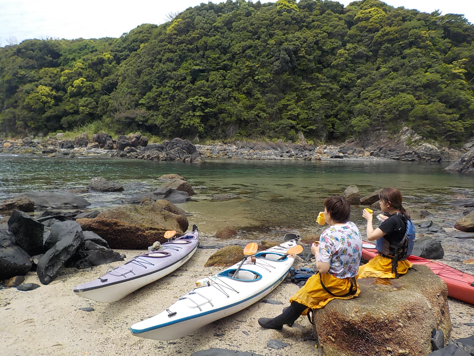 i|CgŊOJtF^C􂠂ƎP[Ly݂ 