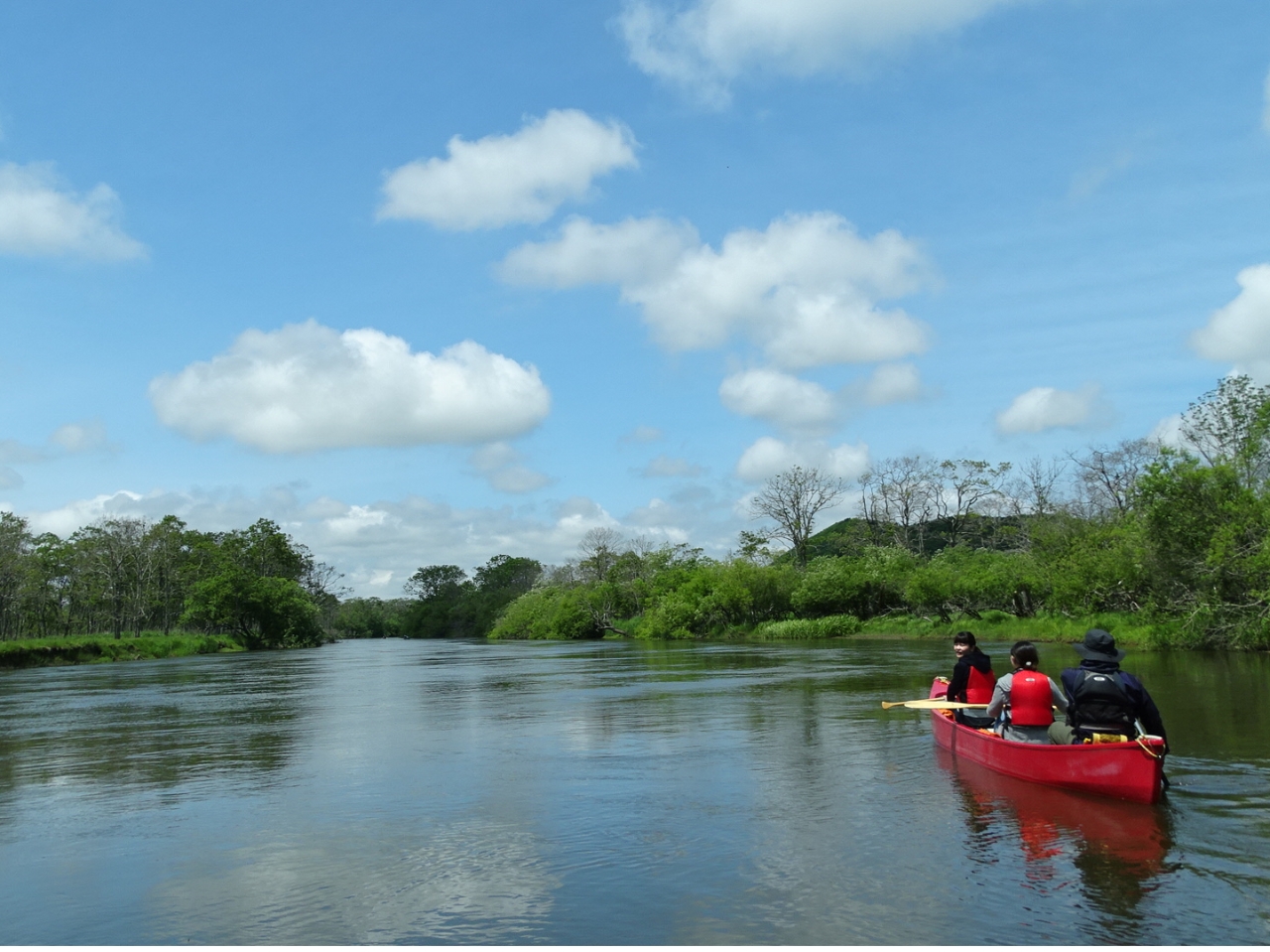 【カヌー体験】釧路湿原 2名様~受付中!湿原の風を感じよう!釧路湿原昼どきカヌー...