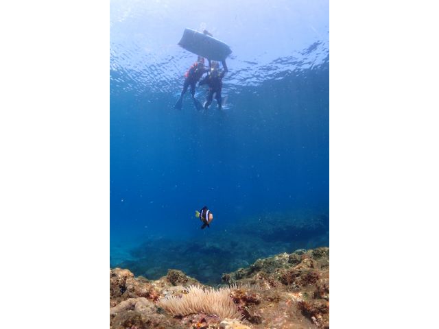 水面からでもたくさんの生物を観察できますよ〜(^^♪