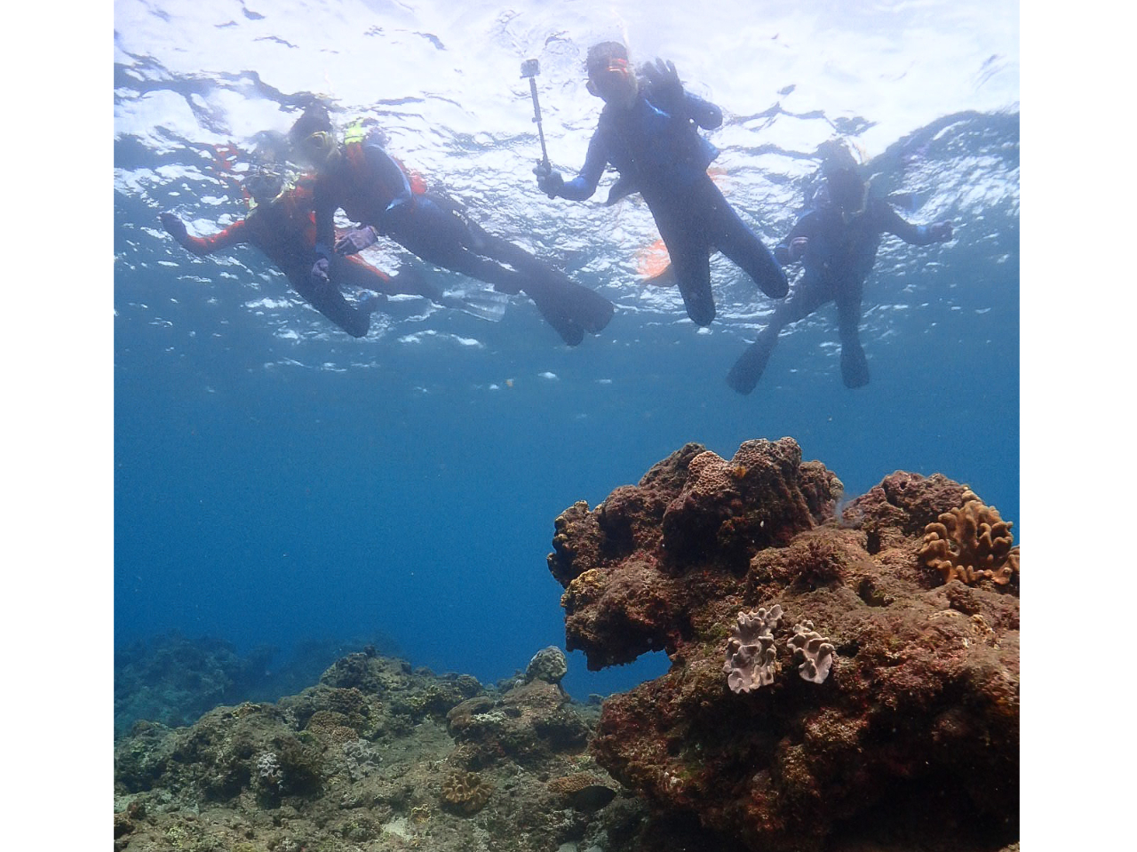 ファミリーで一緒に楽しめる