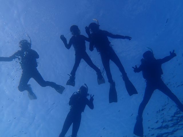 水中からの撮影もお任せください♪屋久島の楽しい思い出の記念に(^^♪