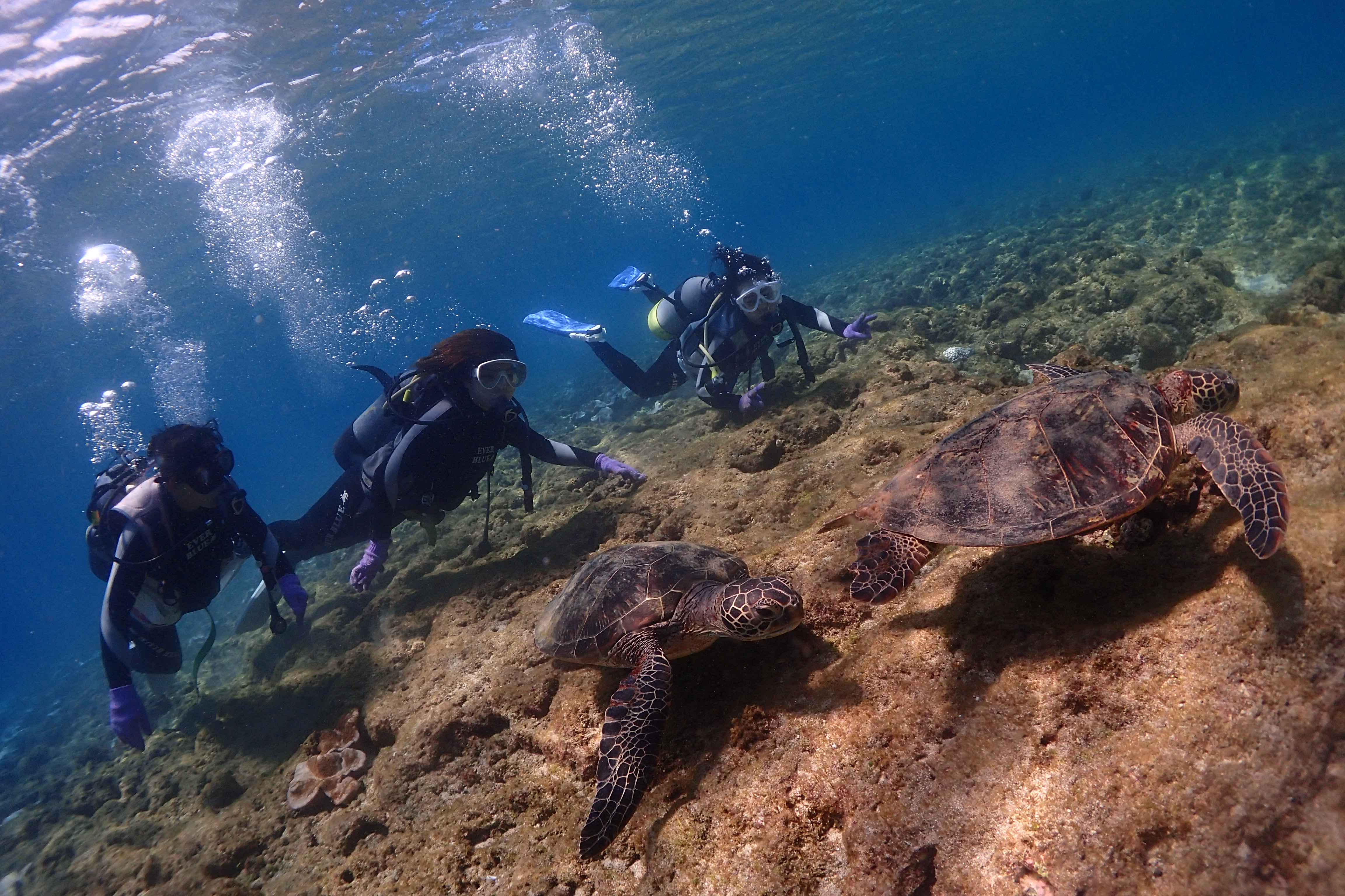 E~KR[X̓E~KlƉjm95ȏ!!2CႤƂIAro{[I