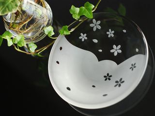 人気No.1!!!サクラの小皿制作体験♪