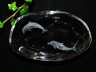 可愛いイルカのデザイン小皿♪