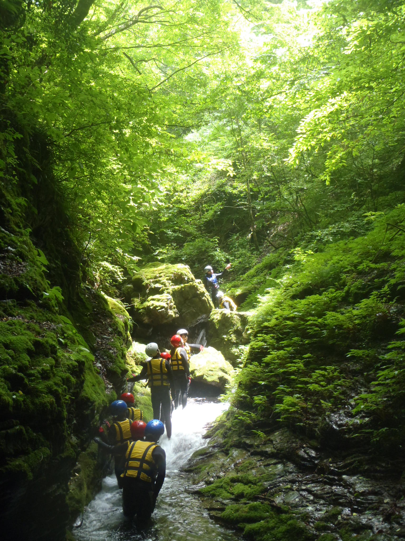 �}�C�i�X�C�I�������Ղ�I