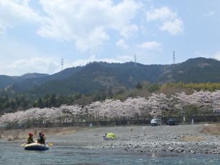 桜の時期にはお花見ラフティングも