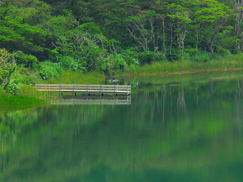 三宅村の観光スポットランキングTOP10