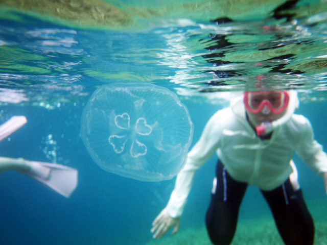 半日 小笠原諸島父島のビーチからのシュノーケリング 語りべ マスオ じゃらん遊び体験