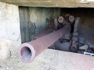 森林生態系保護地域(世界自然遺産範囲内)にひっそりと眠る大砲