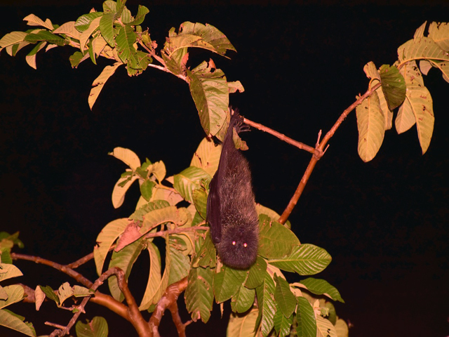 IKTIIREiŗLAŊ뜜jT܂