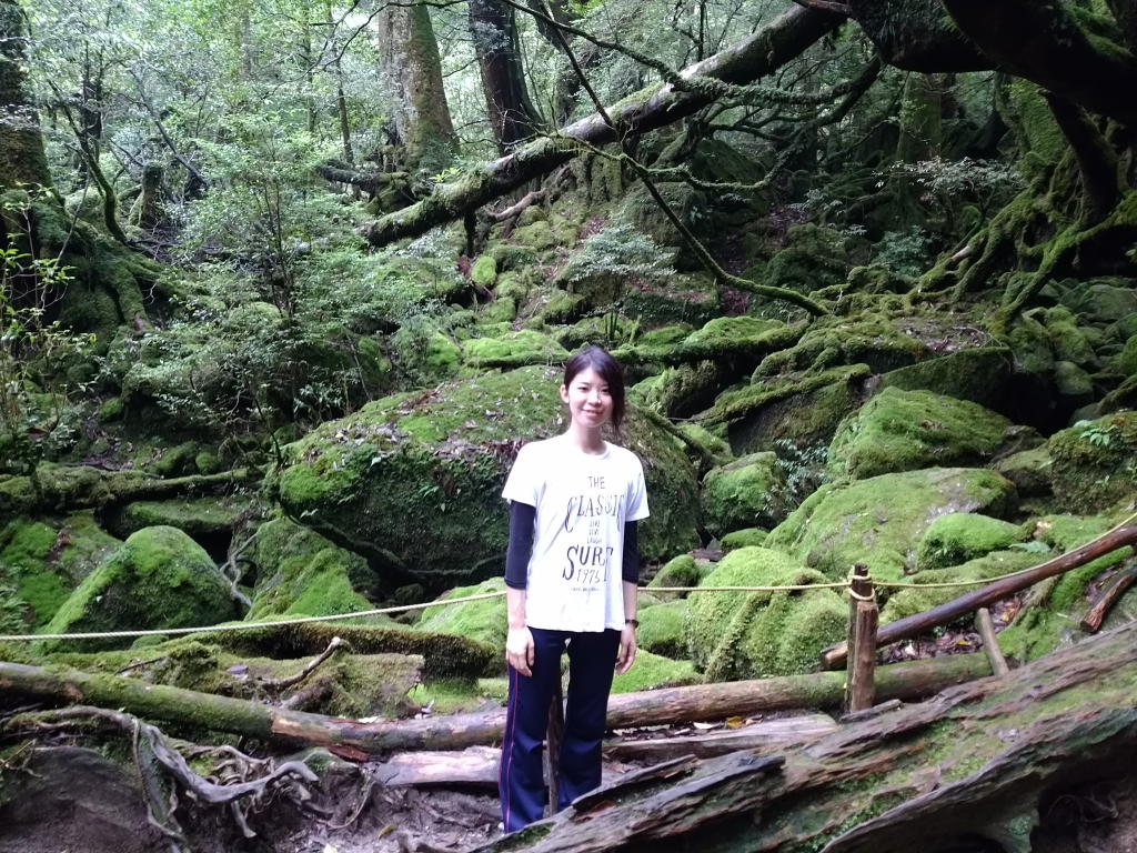 他のコースに比べて最も短い遂行時間のプランです。
体力に合わせて森を散策できるようになっているため、お子様からお年寄りの方まで楽しめます。
お昼から離島される方にお勧めのプラン!