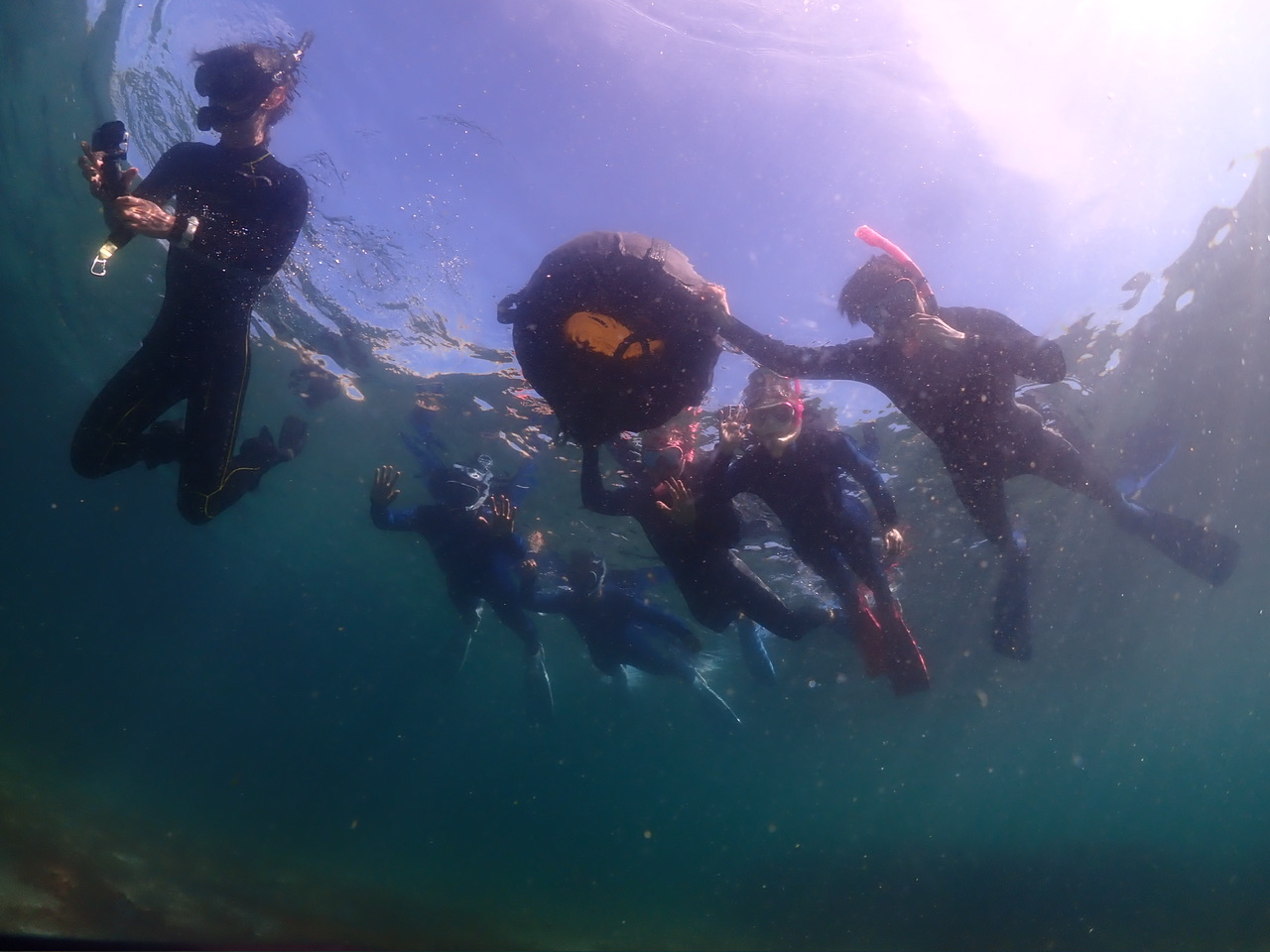 �t���[�g���Q�Ȃ̂ň��S�ł��B