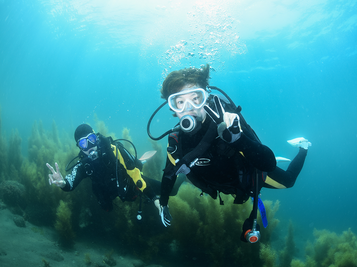 日常を忘れ 青く透き通った井田の海で癒される。
