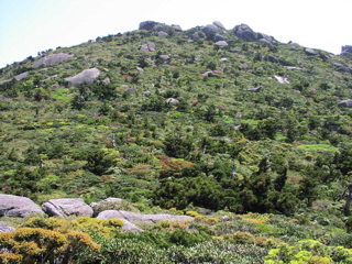 x̓ACɊJꏊɏoƁAΕłBڂ̑Oɑ傫Ȑ΂U΂ΊxтAɏ߂Ėڎw{VYxĂ܂B