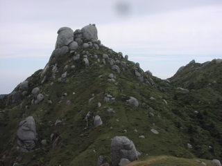 xBCFRF`ɓoꂷAē̉uỷvJ鎖炱̖ƌĂ܂B{VYxR̋}oXgXp[gI