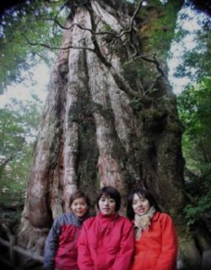 IB3000NƂ鉮vłBĂɂ́AIɒĂ郄NV}VNiQԂ炩̂łƂĂ؂₩ɂȂ܂B