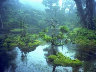 {œ[Ɉʒu鍂wAԔV]́i͂Ȃ̂j^ԔV]́i͂Ȃ̂jɓ܂BTɂ́AȃRPX~~YSPɍč炢Ă܂B