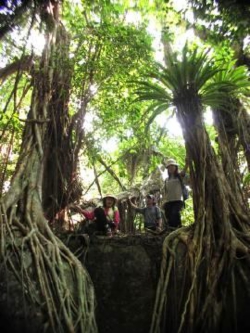 Mѐ̏ƗtтےKW}̖тłBʖAiߎE̐AƂĂ΂AƓȐAepɋ܂B