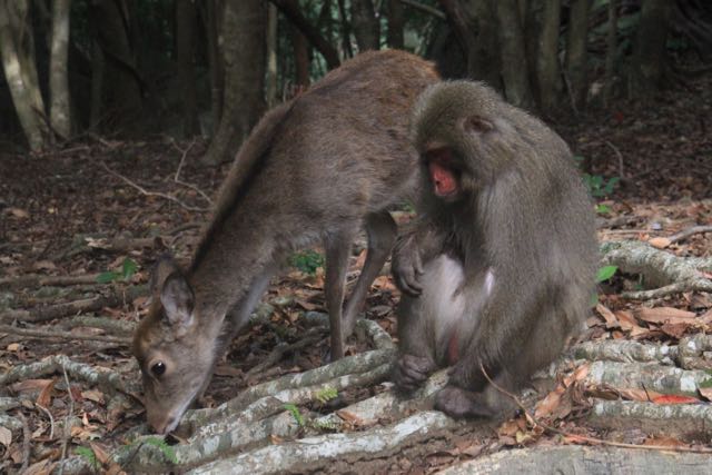 NUANVJRς邱ƂłAX̒ŕaɋĂ܂BႤ쐶ȂɖɊ֌WĂX͑ɂ͂Ȃ܂B