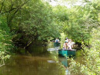 達古武湖満喫 ジャングル満喫 ちょっとだけ釧路川満喫