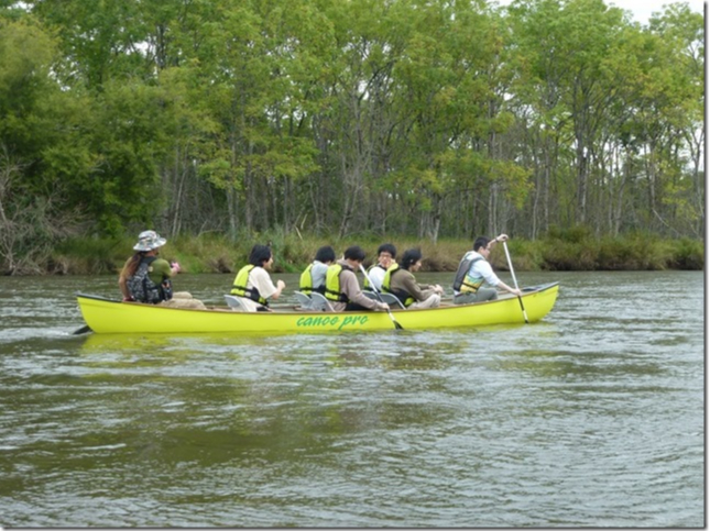 【中型艇でゆったり!】釧路湿原を満喫!通常コース☆(※1~6名様一律で3.3万円...
