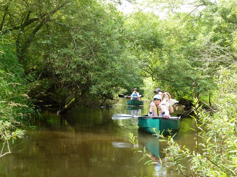 �B�Õ��Ζ��i�@�W�����O�����i�@������Ƃ������H�얞�i