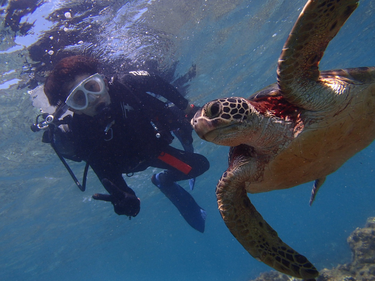 Ȃ悤ɋ߂Â΂ȋŌ邩