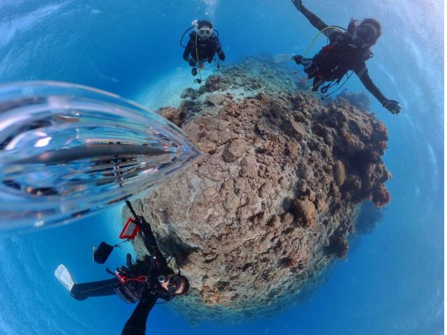 水中の記念写真は通常のカメラはもちろん、360度カメラでも撮影して無料でプレゼント!ちょっと変わった写真を思い出に加えてください♪