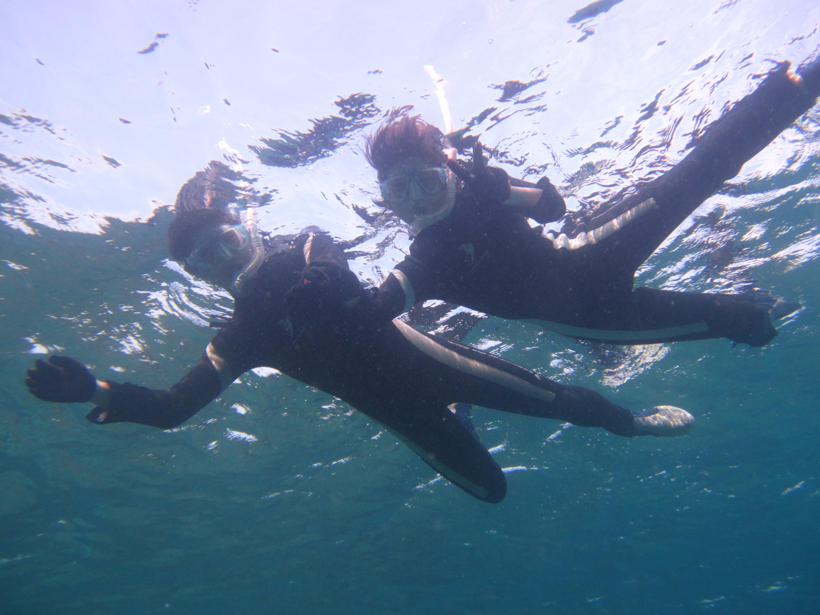 EFbgX[cpȂ̂ŊȒPɕ܂􏉂߂Ă̐lłȒPSOO