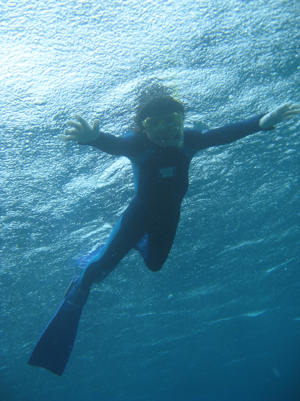 wwNVׂ̂ŁAƑ̉ẴCxgɍœKł