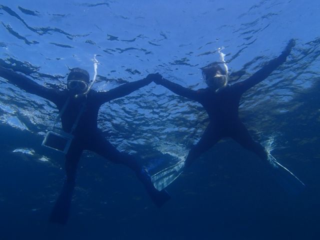 海での思い出を増やしてください♪